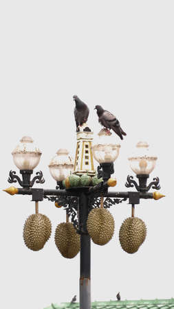 Pigeons perched on unique street lamp decoration with durian and clock tower in Thailand.の写真素材
