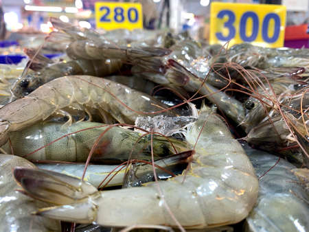 Close up fresh shrimp with price at seafood market, Thailand.の写真素材