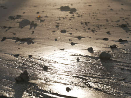 Blurred background of sunlight reflecting on sandy beach, shoreline abstract background.の写真素材