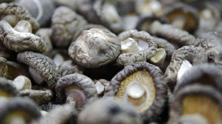 Selective focused dried shiitake mushrooms in market, food background concept.の写真素材