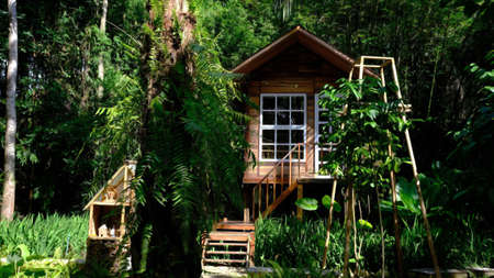 Beautiful wooden cottage architecture, rustic log cabin in the forest.の写真素材