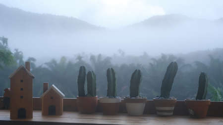 Decorative green houseplants cactus on the table with beautiful foggy mountain background.の写真素材
