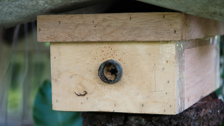 Close up stingless bee box, selective focus.の写真素材