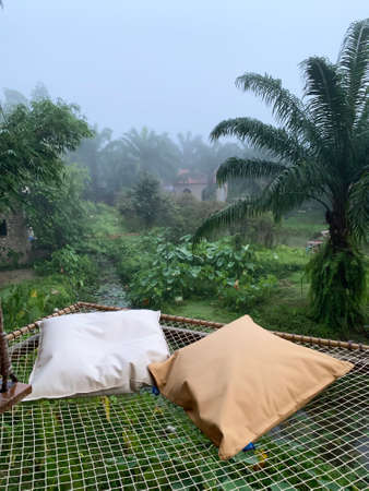 Colorful pillows on net seat  with green nature background, home decoration concept.の写真素材
