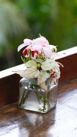 Bouquet of colorful flowers arranged in small vase, selective focus.の写真素材