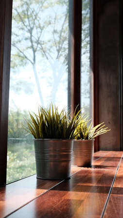 Wheat grass sprouts  in aluminium pot plant decorate on the table with shadow of sunlight.の写真素材