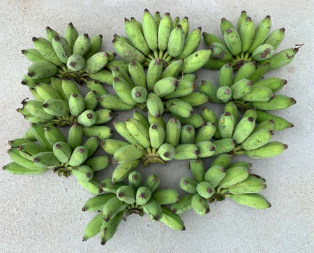 Pile of unripe Pisang Awak banana on grey background.の写真素材