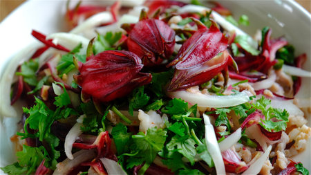 Top view fresh roselle salad on white plate, healthy food.の写真素材
