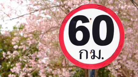 Speed limit sign sixty kilometers per hour with full blossom of pink trumpet flowers behind.の写真素材