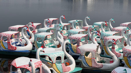November 18 2022 - Hanoi, Vietnam : Swan paddle boats in the lake ready to serve.のeditorial素材