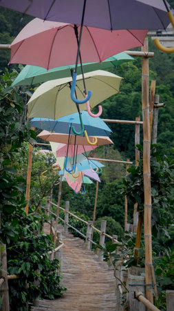 Beautiful bamboo bridge with colorful umbrella at Pha Hee, Chiangrai province, Thailand