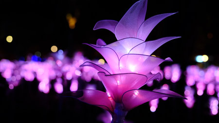 Pink illuminated Krachiao flowers glow in the dark. (Led flowers)の写真素材
