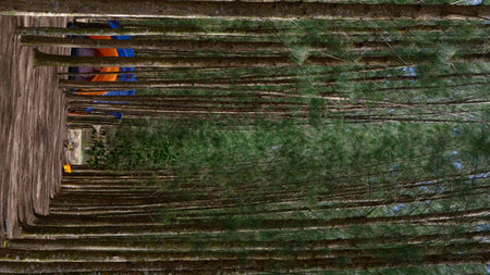 Wooden stairs in the park with reflection of trees in the waterの写真素材