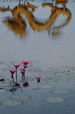 Beautiful view of golden dragon the landmark at  Ang kep nam chat pa wai view point in Suanpueng, Ratchaburi province.の写真素材