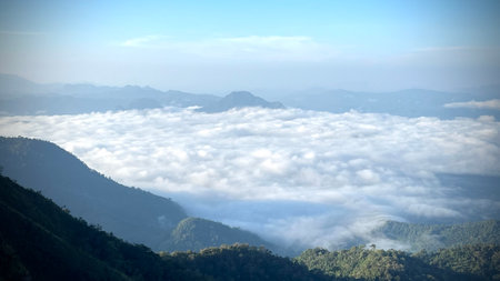 Mist at sunrise from the top of mountain, gorgeous morning fog shrouded the mountain.の写真素材