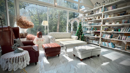 Luxury living room interior with sofa, armchair and bookshelfの写真素材