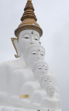 Phetchabun, Thailand : Beautiful five white buddha statues sit in serenity among misty mountains of Wat Phra That Pha Sorn Kaew.の写真素材