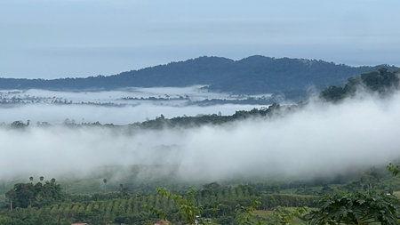 Morning mist blankets the valley and mountain view in Thailand.の写真素材