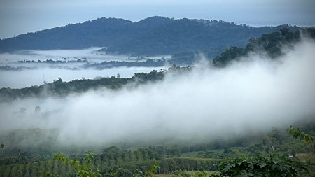 Beautiful view of the valley covered by fog on a cloudy day