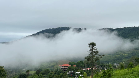 Beautiful view of the valley covered by fog on a cloudy dayの写真素材