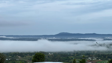 Foggy morning at Phu Chi Fa, Chiang Rai, Thailandの写真素材