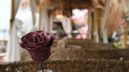Red rose in vase on wooden table in cafe, shallow depth of fieldの写真素材