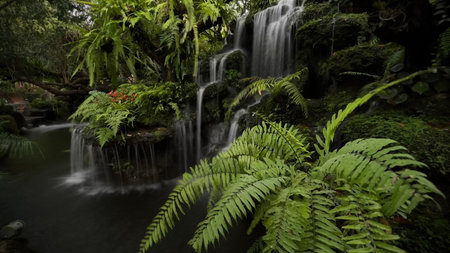 Beautiful waterfall in the tropical garden, long exposure shot with slow shutter speedの写真素材