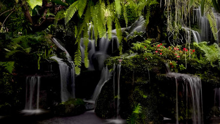 Beautiful waterfall in the tropical garden, long exposure shot with slow shutter speedの写真素材