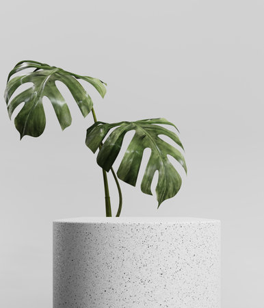 3D rendering of a light stone podium with monstera leaves. Cosmetic product mockup for advertising and presentations. Display, showcase.の写真素材