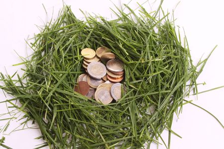 Euro coins in a nest of grass against a white backgroundの写真素材