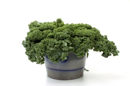 borecole in a pot over whiteの写真素材