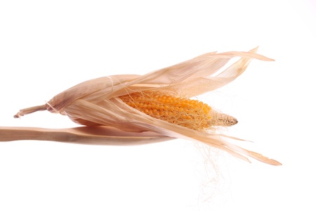 Maize simply offered on a wooden spoon isolated on a white background の写真素材