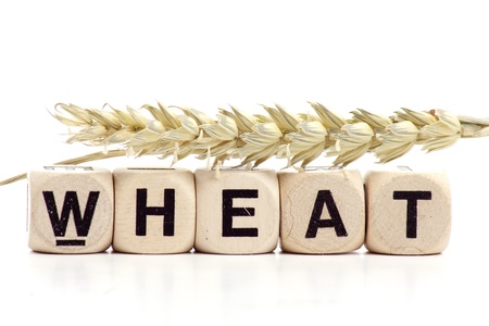 Dry wheat on the white isolated  background の写真素材