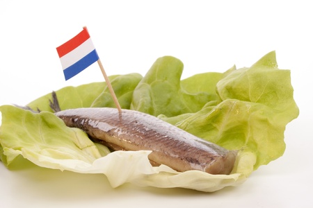 Typical Dutch salted herring called maatje or zoute haringの写真素材