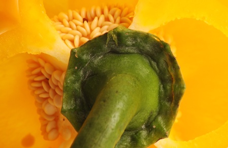 Bell pepper against a white background in studio settingの写真素材