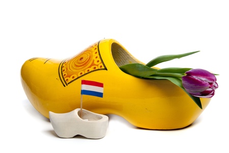 The tulip is the most succesful export product of The Netherlandsの写真素材