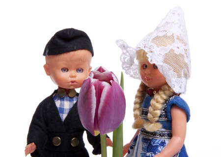 The tulip is the most succesful export product of The Netherlandsの写真素材