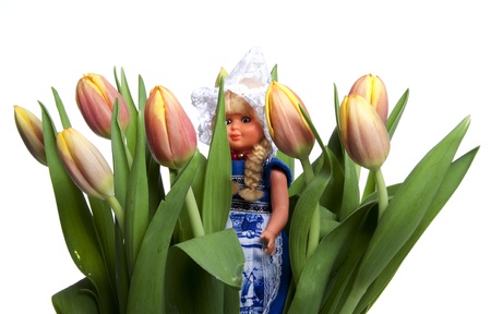 The tulip is the most succesful export product of The Netherlandsの写真素材