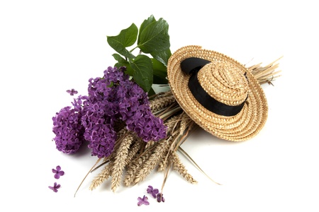 Attributes for a lovely picnicの写真素材