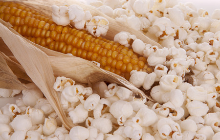 Mais and popcorn against whiteの写真素材