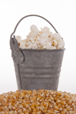 Mais in a bucket against whiteの写真素材