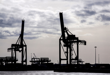 Sihouette of cranes in the port of Rotterdam