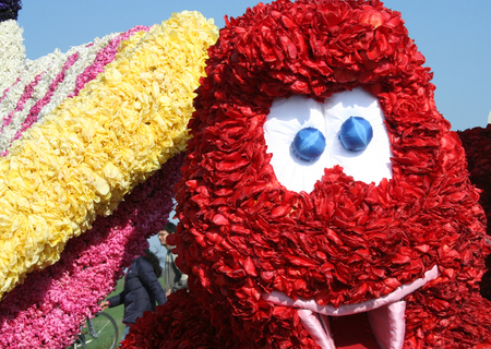 Netherlands,Lisse,march 2016: 
Bloemencorso Bollenstreek is one of the flower parades in the Netherlands and one of the largest editions of the world. The event took place in the end of April, The route starts on Saturday in Noordwijk and ends in the citのeditorial素材