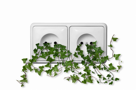 Green plant growing out of dual wall outletの写真素材