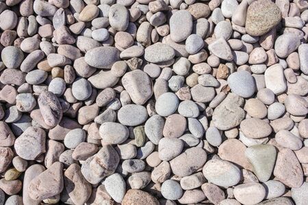 Pebbles on the beach in random sizesの写真素材