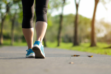 young fitness woman legs walking in the park outdoor, female runner running on the road outside, asian athlete jogging and exercise on footpath in sunlight morning. Sport,healthy and wellness conceptsの写真素材