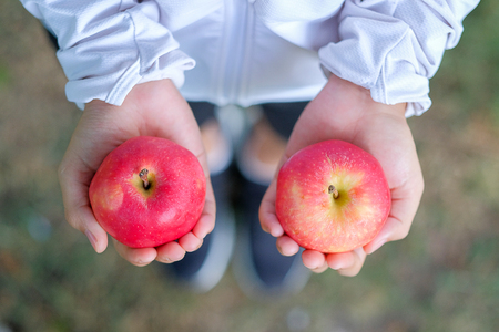 young fitness woman holding in hands red apple and donut, female choose between fruit is Healthy food and sweet is unhealthy junk foods. Dieting, obesity, eating lifestyle and nutrition conceptの写真素材