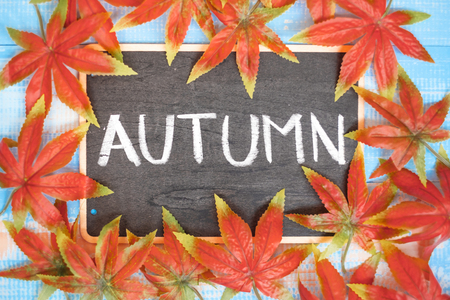 Autumn Maple leaves and chalkboard with handwritten words on blue wooden background. Top view and Copy space for your textの写真素材