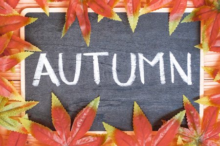 Autumn Maple leaves and chalkboard with handwritten words on wooden background. Top view and Copy space for your textの写真素材