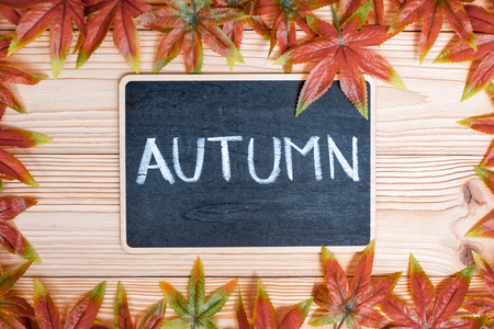 Autumn Maple leaves and chalkboard with handwritten words on wooden background. Top view and Copy space for your textの写真素材